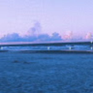 Meet your Posher, Mia.brennan